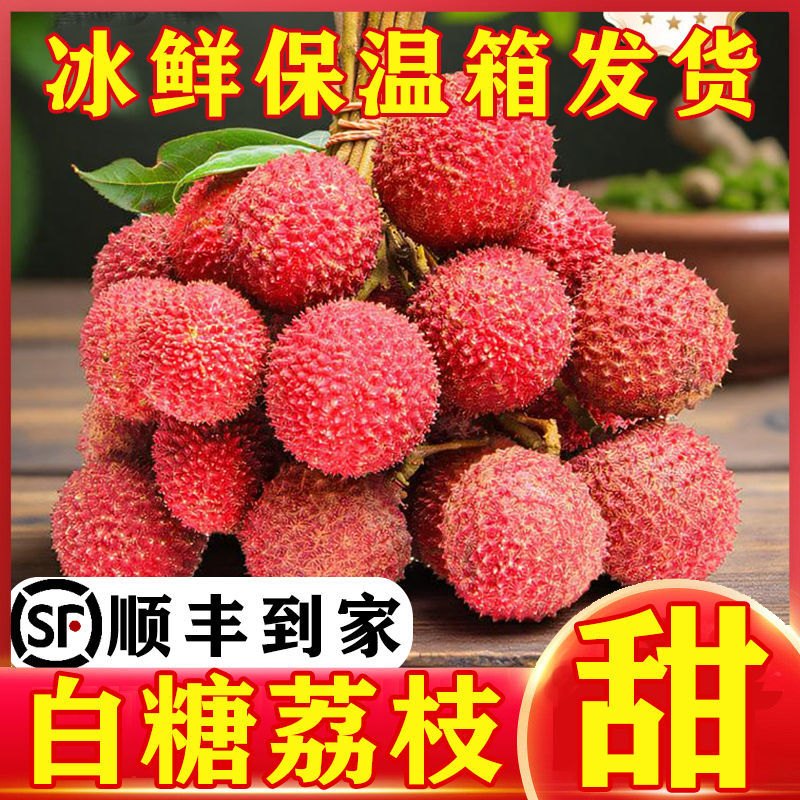 【现摘急速达】广东白糖罂荔枝当季新鲜水果非桂味糯米糍电商代发