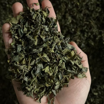 茶头