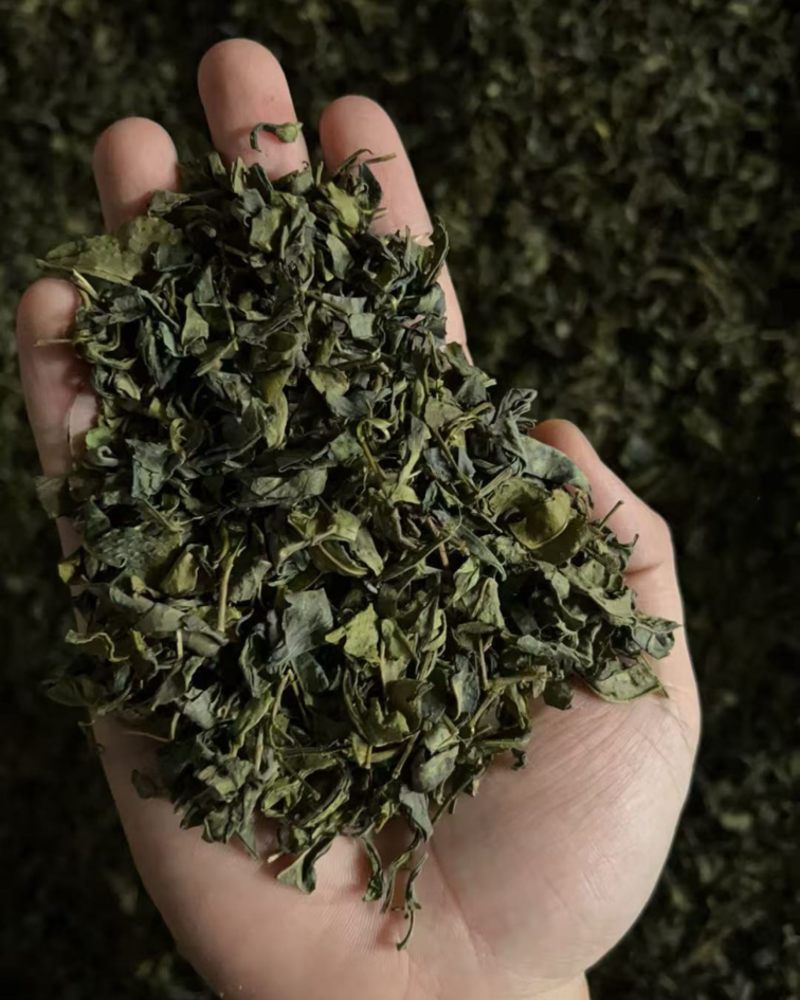 茶头