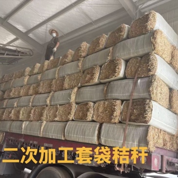 稻谷秸秆