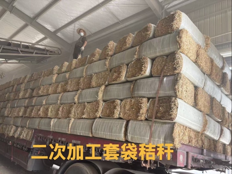 稻谷秸秆