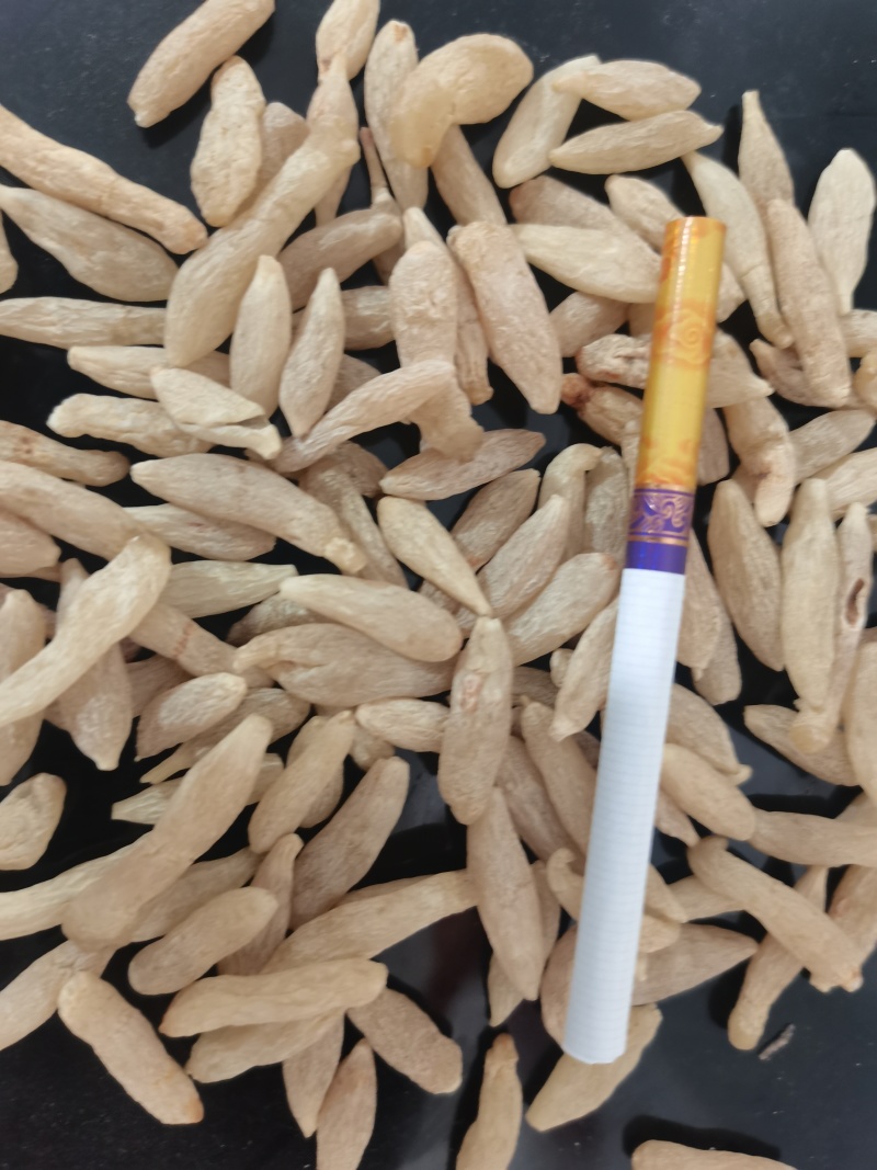 川麦冬产地直销，量大从优，长期供应！
