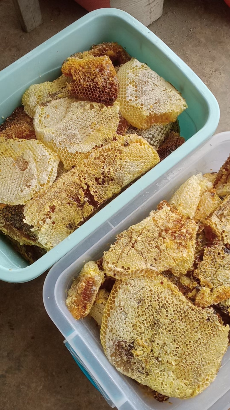 各位老板需要***野生蜂蜜的联系**信***********