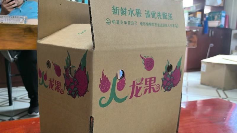 热带水果