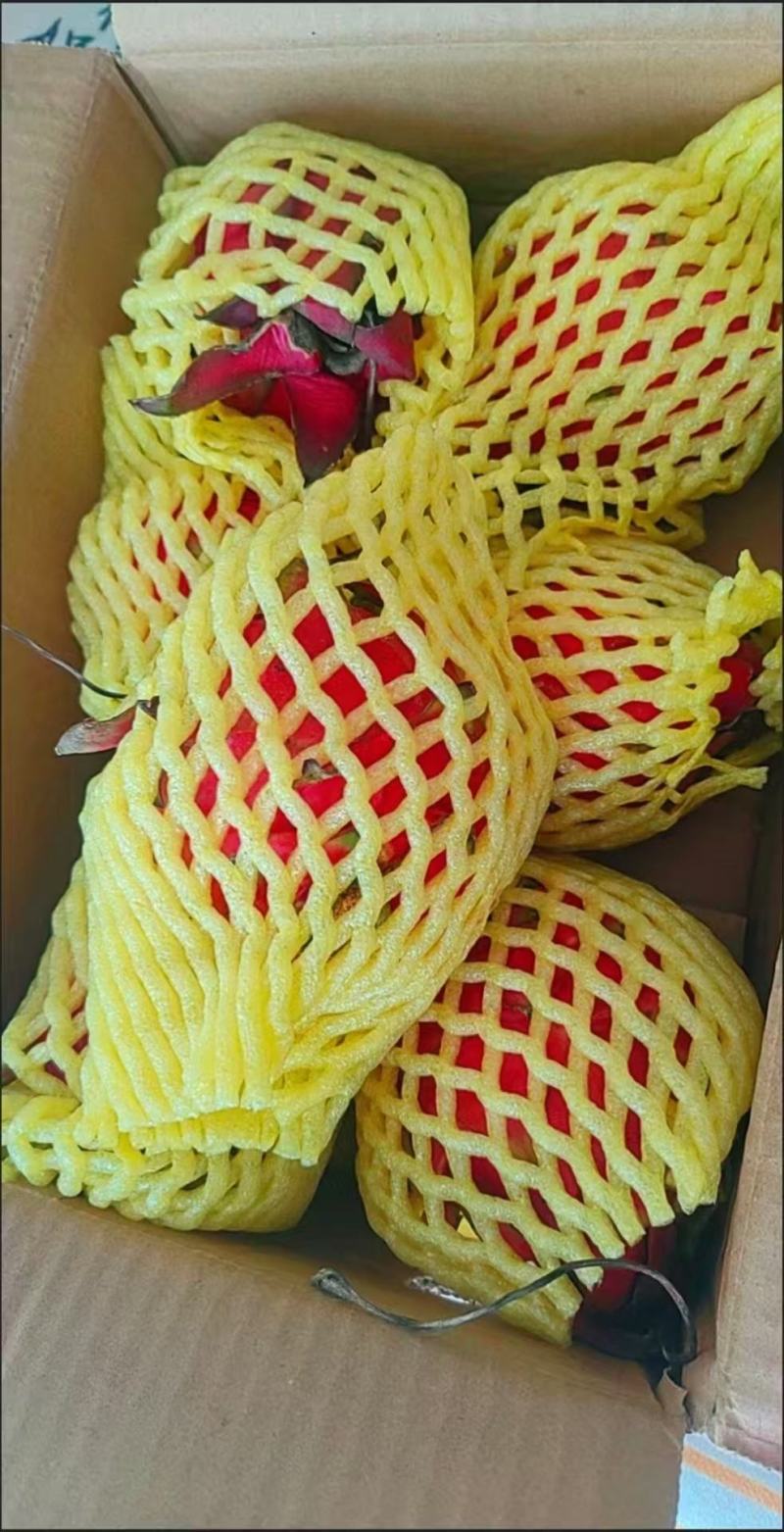 热带水果