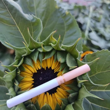 批发各种鲜切花