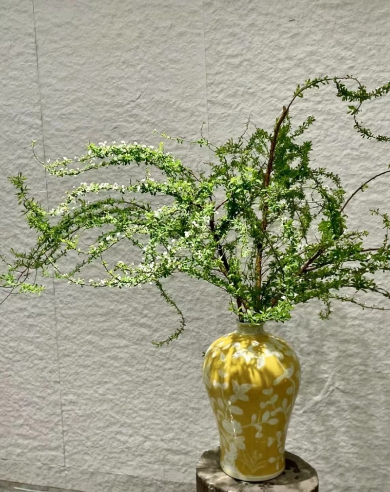 批发各种鲜切花