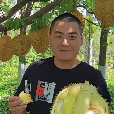 金枕榴莲基地直销一手货源，A果保5房坏果包赔货到付款