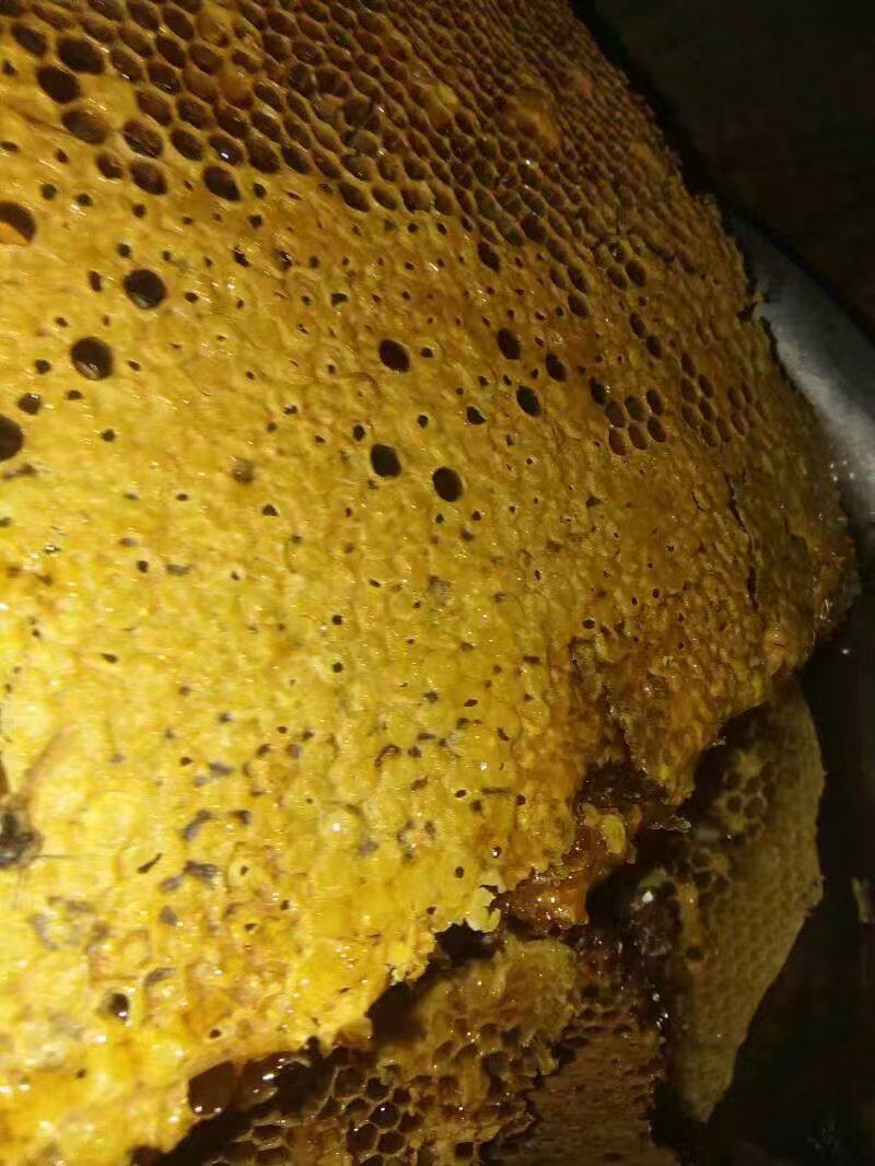 云南深山老林野生土蜂蜜中华野生土蜂蜜