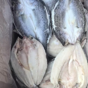 品名：鲈鱼（纯干）规格：一箱18-20斤左右。9.10.