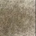虾苗