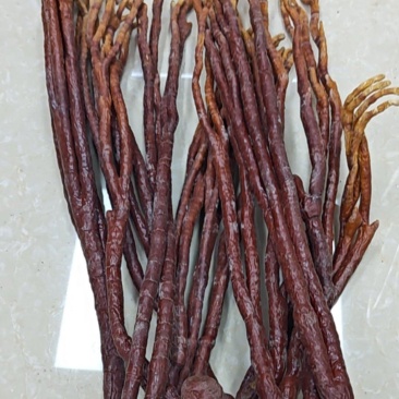 鹿角灵芝规格10～22