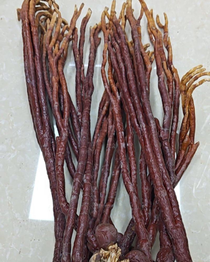 鹿角灵芝规格10～22