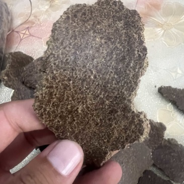 花生饼改良土壤种出的瓜果蔬菜香甜可口物理发酵水