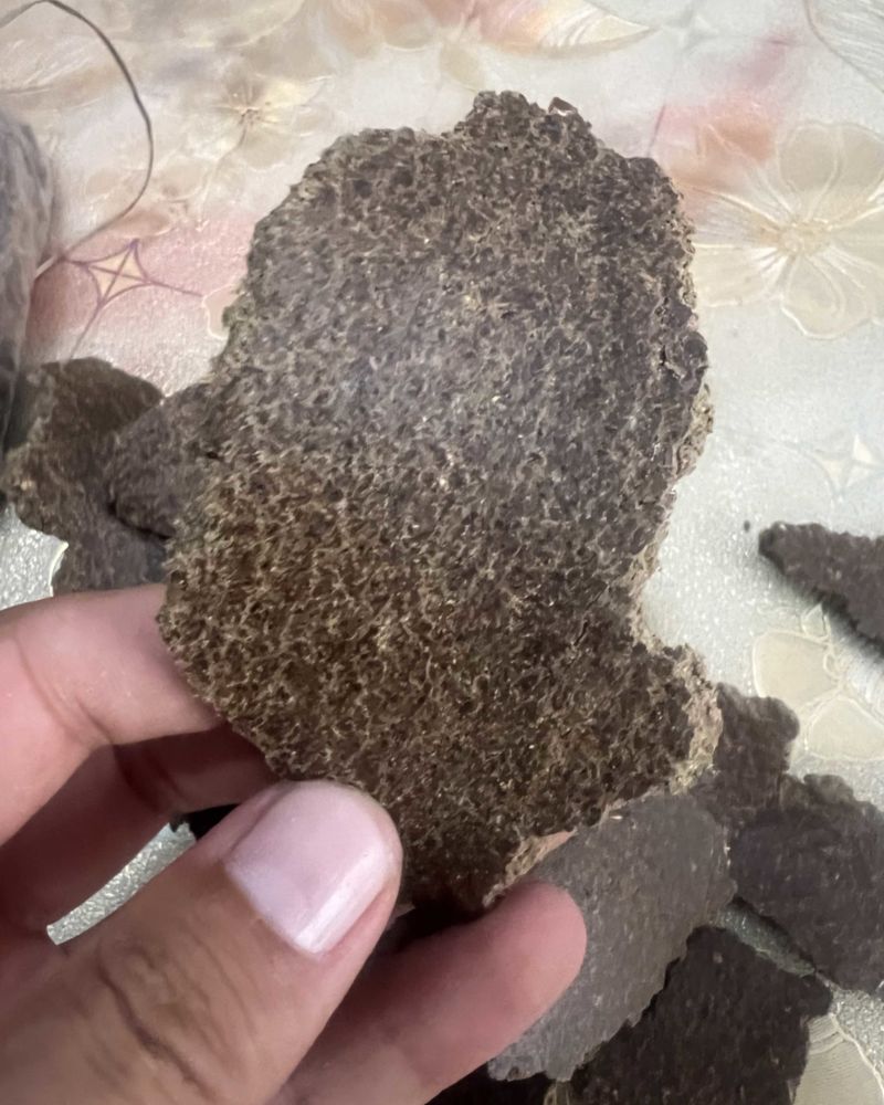 花生饼改良土壤种出的瓜果蔬菜香甜可口物理发酵水