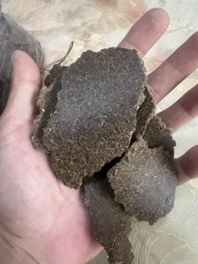 花生饼改良土壤种出的瓜果蔬菜香甜可口物理发酵水