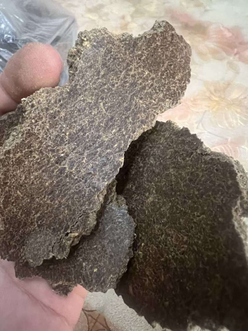 花生饼改良土壤种出的瓜果蔬菜香甜可口物理发酵水