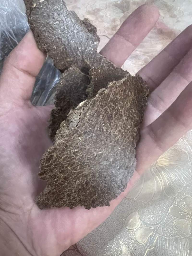 花生饼改良土壤种出的瓜果蔬菜香甜可口物理发酵水