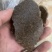 花生饼物理发酵水肥后用于种植瓜果蔬菜香甜可口