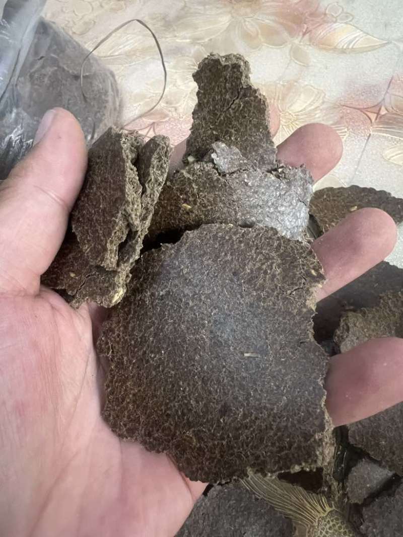 花生饼物理发酵水肥后用于种植瓜果蔬菜香甜可口