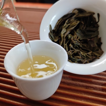 2025年稀缺古树茶之王缅甸815鲜爽甘甜回甘生津茶气足