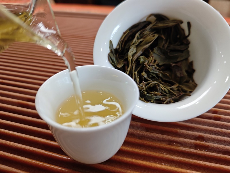2025年稀缺古树茶之王缅甸815鲜爽甘甜回甘生津茶气足