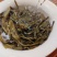 2025年稀缺古树茶之王缅甸815鲜爽甘甜回甘生津茶气足