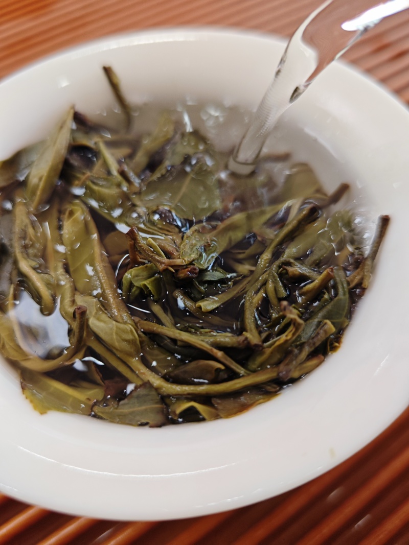 2025年稀缺古树茶之王缅甸815鲜爽甘甜回甘生津茶气足