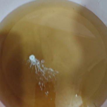 今天刚出来的野生蜂蜜需要的联系.微信号***********