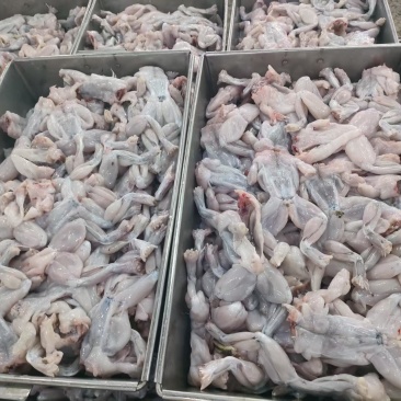 单冻牛蛙150克以上有货