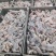 单冻牛蛙150克以上有货