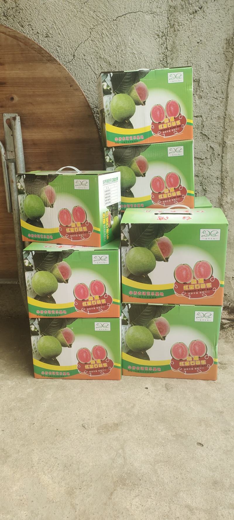 番石榴红心红宝石芭乐