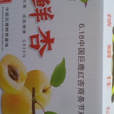 水白杏
