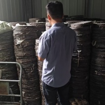 厂家直销茶粕茶枯粉茶麸清塘水产养殖养虾蟹消毒茶籽饼农田杀螺杂