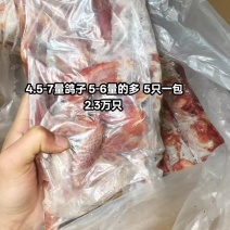 4.5-7量鸽子5-6量的多5只一包2.3万只