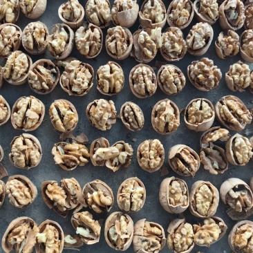 新疆185纸皮核桃今年新货薄皮核桃新疆喀什地区
