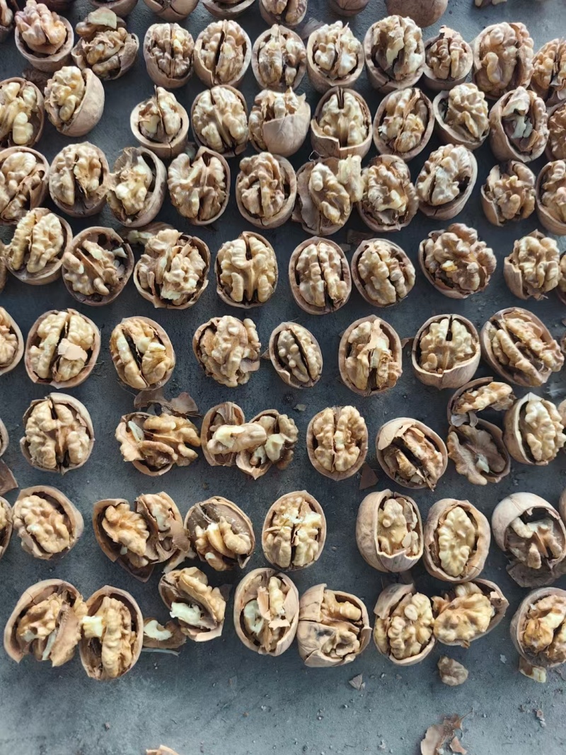 新疆185纸皮核桃今年新货薄皮核桃新疆喀什地区