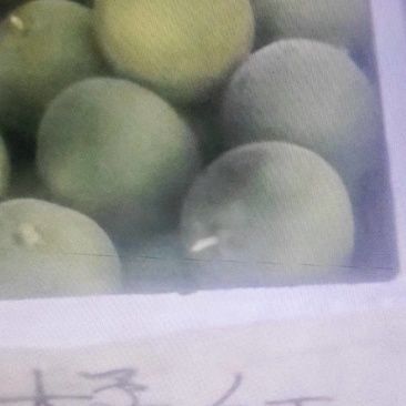 橘红，规格单个2一5两