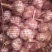 太空大蒜
