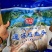 鲢鱼头