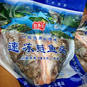 鲢鱼头