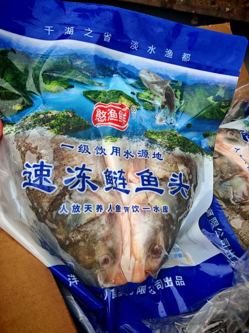 鲢鱼头