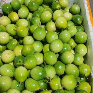 百香果