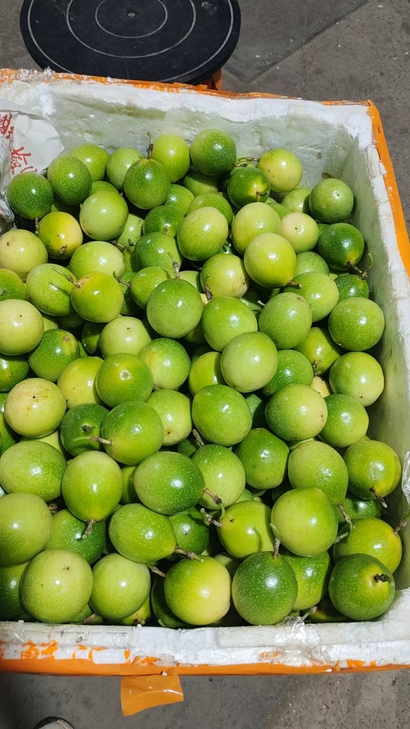 百香果