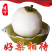 福建翠冠梨