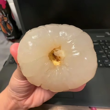 荔枝王桂味仙进奉黑叶禾荔等品种