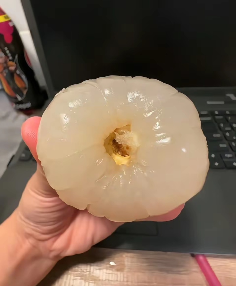 荔枝王桂味仙进奉黑叶禾荔等品种
