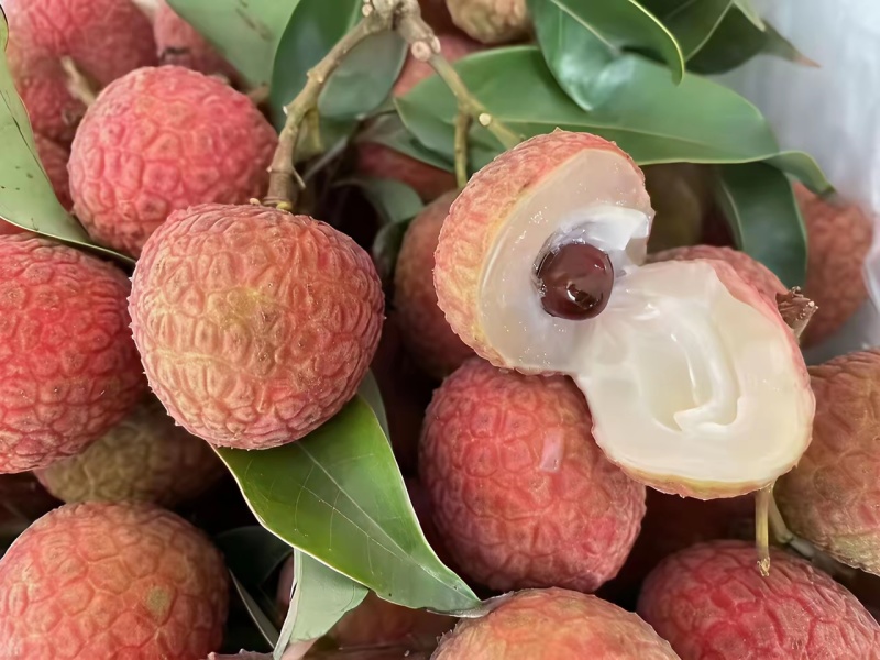 荔枝王桂味仙进奉黑叶禾荔等品种
