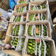 香蕉🍌海南香蕉
