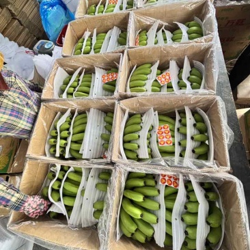 香蕉🍌海南香蕉